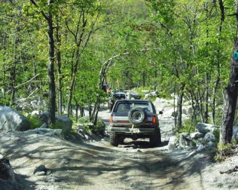 1991 Ford Bronco - A convoy of Ford Broncos navigates a challenging off-road trail through a dense forest.