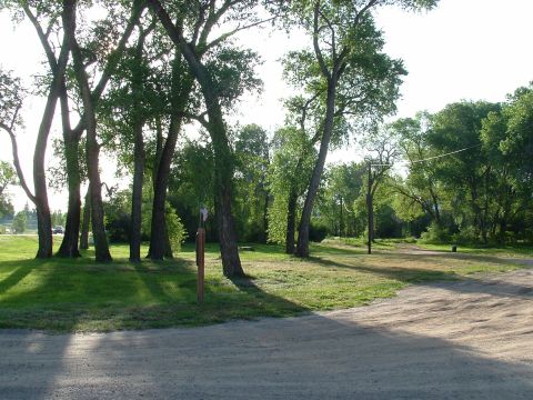 2007 Kawasaki Ninja - A park scene with tall trees casting shadows on a grassy area and a dirt road in the foreground.