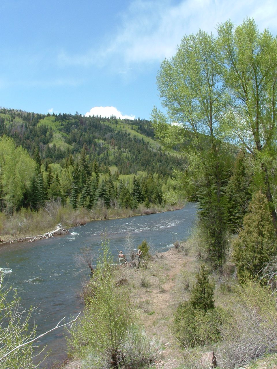 Three people fishing in a wide river with tree-covered hills in the background