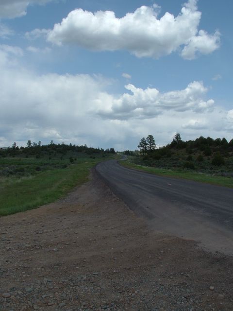 2007 Kawasaki Ninja - A lonely road curves through a vast, open landscape dotted with scrub brush and trees beneath a dramatic, cloud-filled sky.