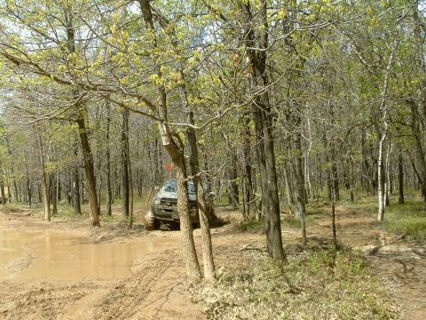 1991 Ford Bronco - An off-road vehicle navigates a muddy trail through a dense forest.