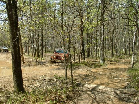 1991 Ford Bronco - Two SUVs navigate a muddy trail through a dense forest with trees on either side.