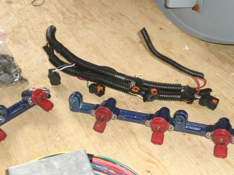 1995 Ford Probe - Blue metal-flake powder-coated fuel rails fitted with red-bodied fuel injectors, laid on a plywood bench next to a loom-wrapped injector wi…