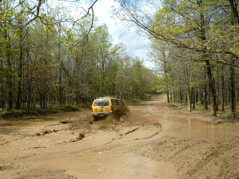 1991 Ford Bronco - A yellow SUV navigates a challenging muddy path through a dense forest.
