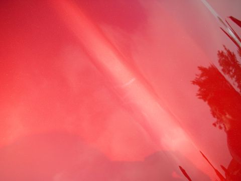 1998 Ford Crown Victoria - Reflection of trees on a shiny red car hood.