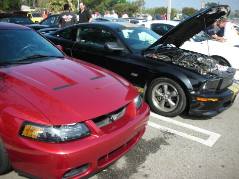 1998 Ford Crown Victoria - Two Ford Mustangs, one red and one black, are parked together at an outdoor event.