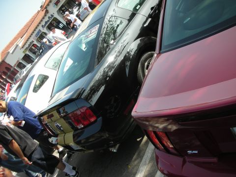 1998 Ford Crown Victoria - Two Ford Mustangs parked side-by-side at a car meet.