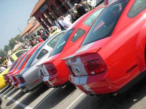 1998 Ford Crown Victoria - Several Ford Mustangs are lined up, showing their rear ends and racing stripes.