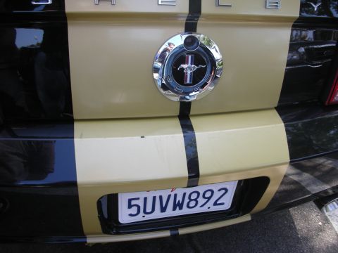1998 Ford Crown Victoria - The rear of a gold and black Shelby Mustang is shown, racing stripes and a prominent horse emblem.