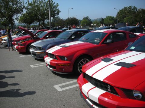 1998 Ford Crown Victoria - A line of Ford Mustangs, mostly red with white stripes, are parked in a lot on a sunny day.