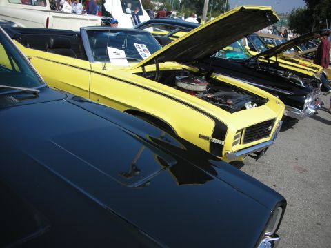 1998 Ford Crown Victoria - A row of cars at a meet, a bright yellow convertible with its hood up, revealing the engine.