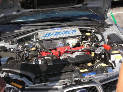 1998 Ford Crown Victoria - Engine bay with a Sparco intercooler and red intake manifold.