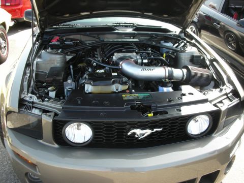1998 Ford Crown Victoria - The grille features a prominent Mustang emblem, indicating the vehicle is a Ford Mustang, not a Crown Victoria.