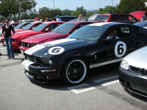 1998 Ford Crown Victoria - A black Ford Mustang Shelby GT500 is parked in a lot with other cars.