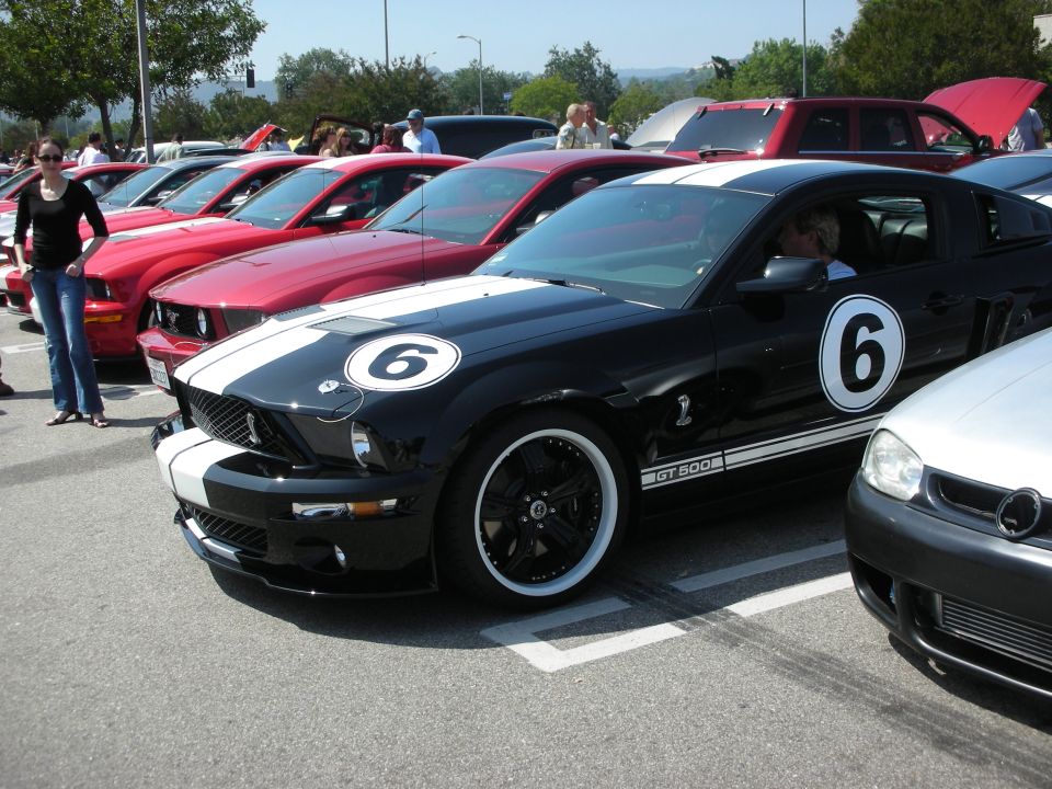 Black Ford Mustang Shelby GT500 with white racing stripes and the number 6 on the door