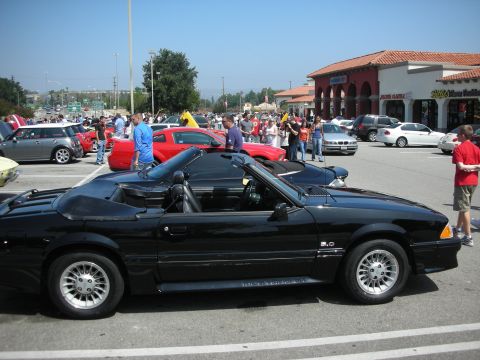 1998 Ford Crown Victoria - A black convertible Mustang is parked at a car meet, with other vehicles and people in the background.