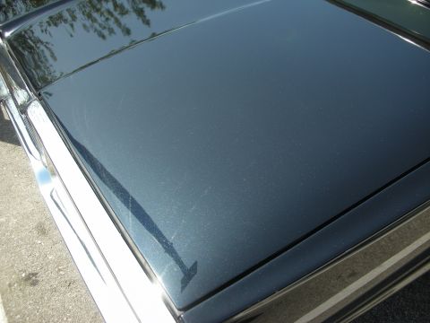 1998 Ford Crown Victoria - Close-up view of a dark blue car hood, showing metallic paint flecks and a section of chrome trim.