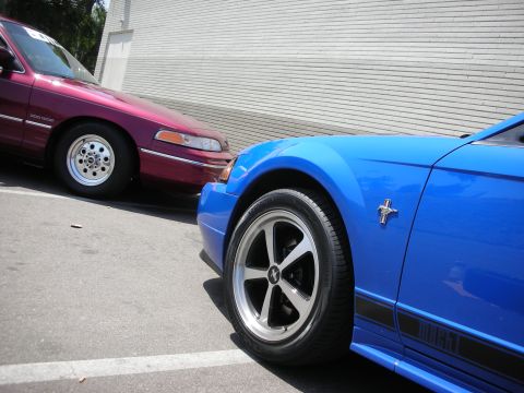 1998 Ford Crown Victoria - A blue Ford Mustang and a maroon Ford Crown Victoria are parked side-by-side in a parking lot.