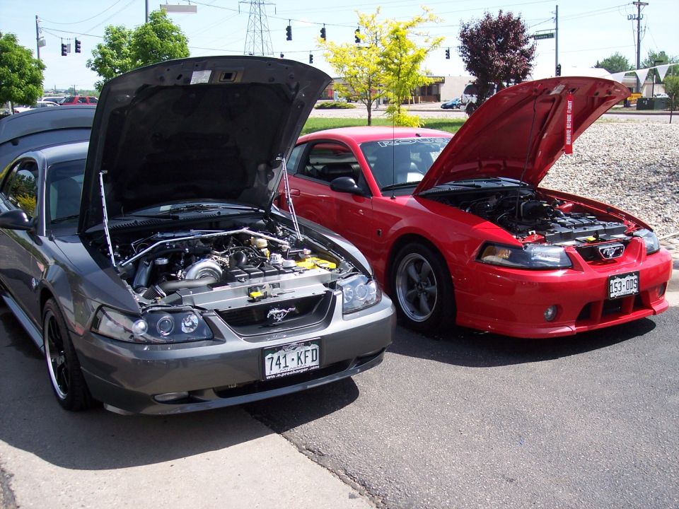 Gray and red Ford Mustangs with hoods open, showing engines