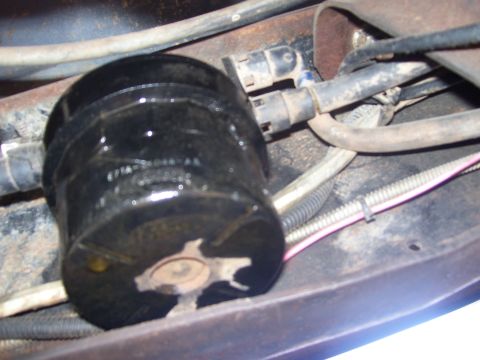 1986 Ford Bronco - Close-up view of a vehicle's fuel filter, with visible hoses and wiring.