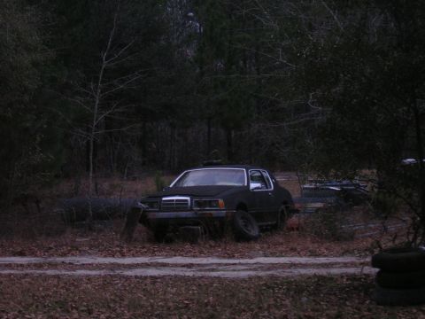 1987 Ford Thunderbird - An old car sits abandoned in a forest clearing, surrounded by trees and debris.