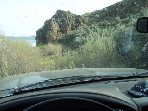 1994 Ford F-150 - The view from the driver's seat shows a landscape with a body of water visible beyond the brush.