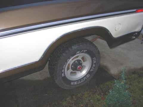 1979 Ford F-150 photo