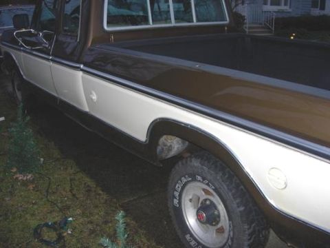 1979 Ford F-150 photo