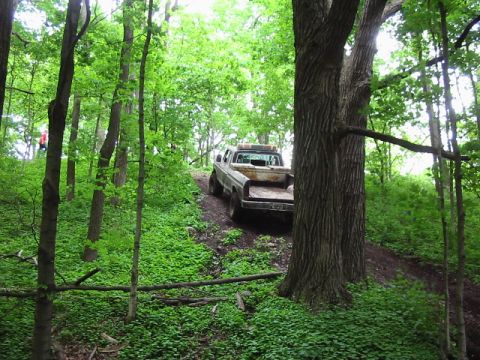 1979 Ford F-250 - A weathered pickup truck navigates a steep, wooded trail.