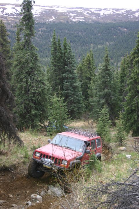 2003 Jeep TJ - A red Jeep Cherokee XJ navigates a steep, wooded trail with a snowy mountain range visible in the distance.