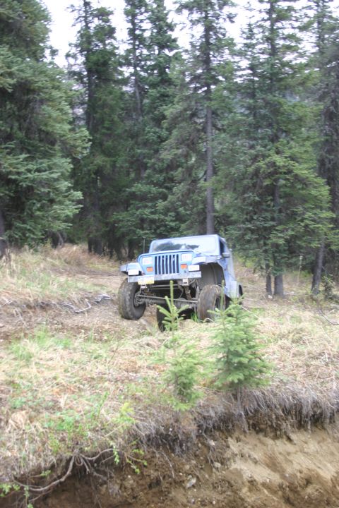 2003 Jeep TJ - A blue 2003 Jeep Wrangler is parked on a dirt path surrounded by trees.