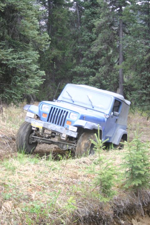 2003 Jeep TJ - Blue Jeep Wrangler navigating a wooded trail with uneven terrain.