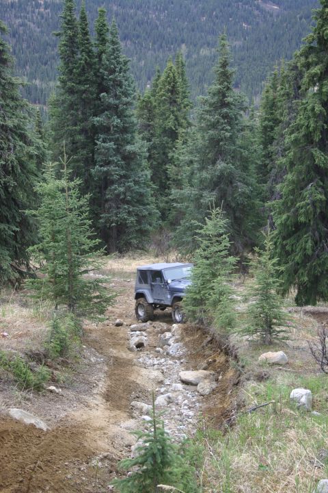 2003 Jeep TJ - A dark Jeep Wrangler TJ navigates a rocky, off-road trail surrounded by pine trees.