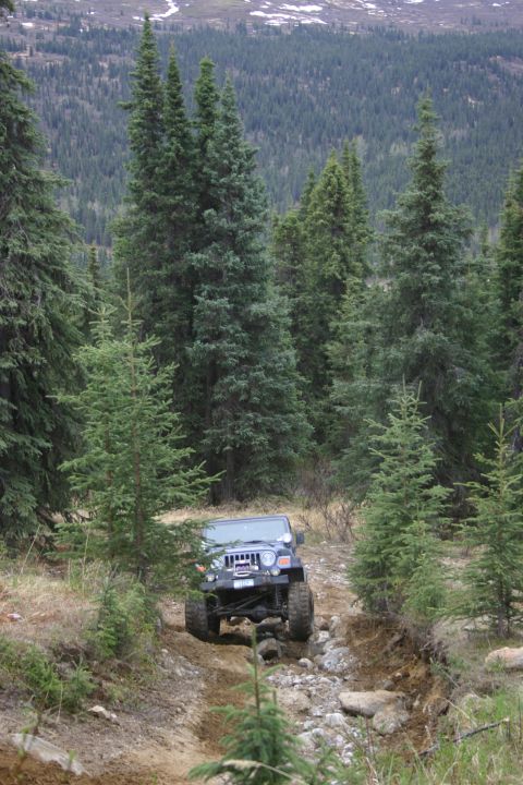 2003 Jeep TJ - Jeep TJ driving off-road on a steep, rocky path surrounded by pine trees.