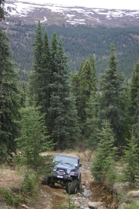 2003 Jeep TJ - A blue Jeep TJ navigates a challenging off-road trail surrounded by dense evergreen forest and distant snow-capped peaks.