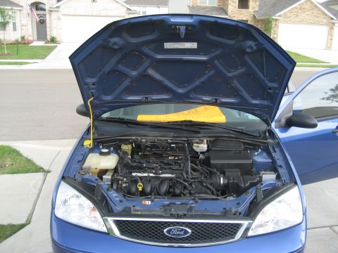 1986 Ford Bronco - Front view of a blue Ford Focus, hood open, revealing the engine compartment.