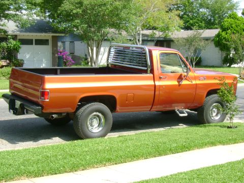 1979 GMC C/K Pickup - right side, taken 5/19/07