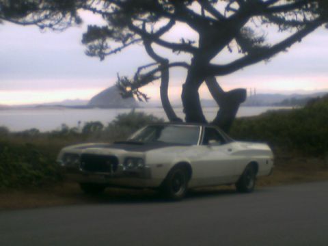 1972 Ford Ranchero - A 1972 Ford Ranchero is parked under a large tree with a scenic coastal view in the background.