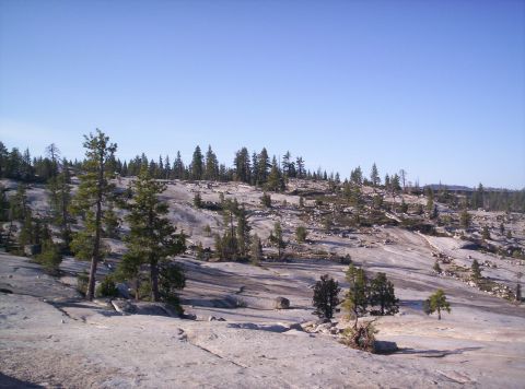 1989 Ford Bronco - A vast, rocky terrain dotted with trees stretches towards the horizon under a bright, cloudless sky.