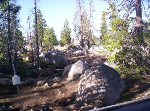 1989 Ford Bronco - Off-road trail with large rocks and pine trees under a clear blue sky.