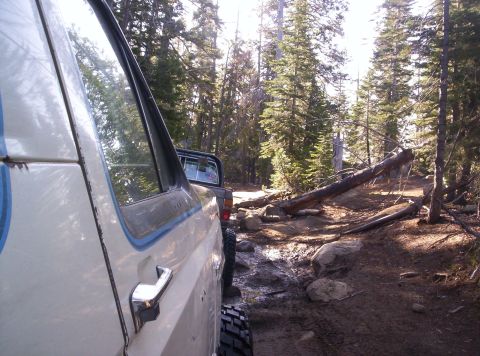 1989 Ford Bronco - Navigating a rough forest trail with obstacles like fallen trees and rocks.