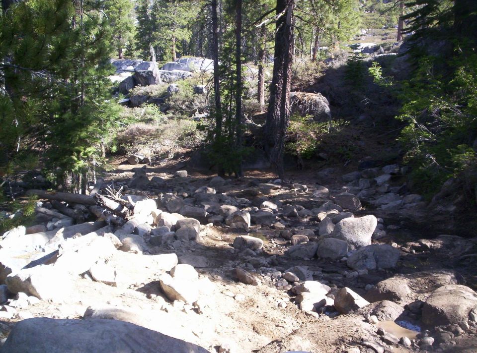 Rocky, sun-dappled forest trail with scattered boulders and fallen logs