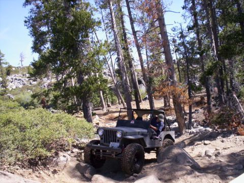 1989 Ford Bronco - Jeep CJ-5 off-roading on a mountain trail with dense trees and clear blue sky.