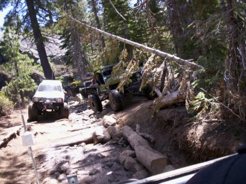 1989 Ford Bronco - Multiple off-road vehicles navigate a challenging, wooded trail with significant obstacles.