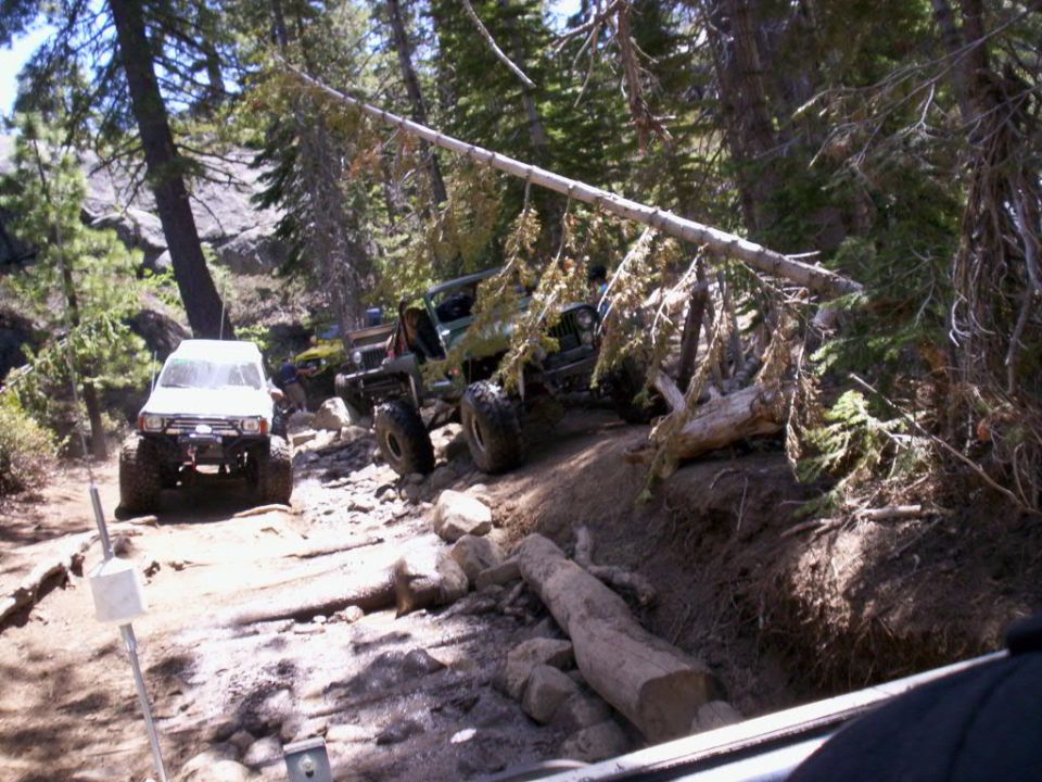 White SUV and green Jeep on a steep, rocky forest trail with fallen trees
