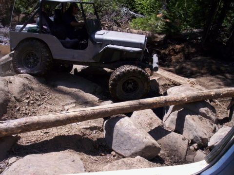 1989 Ford Bronco - This off-road vehicle tackles a challenging trail with large rocks and fallen logs.