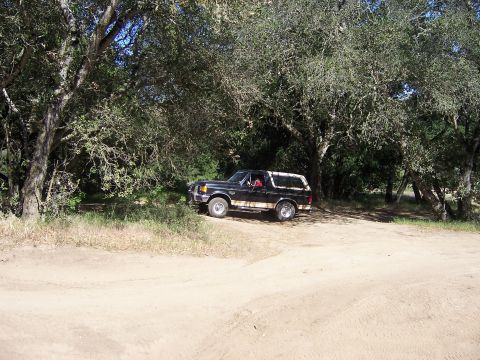 1991 Ford Bronco - A black 1991 Ford Bronco with a white top is parked on a dirt road under the shade of trees.