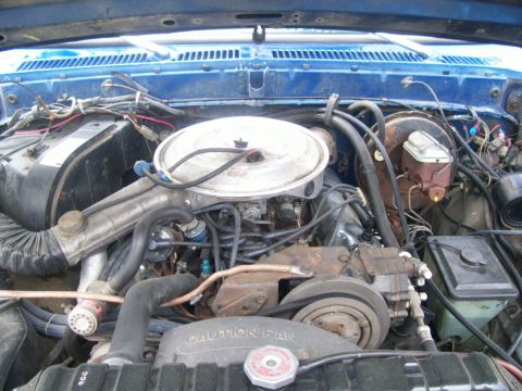 1979 Ford Bronco photo