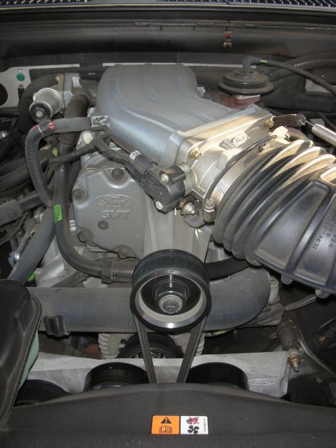 1998 Ford Crown Victoria - Close-up of a Ford SVT engine, showing the intake and belt system.