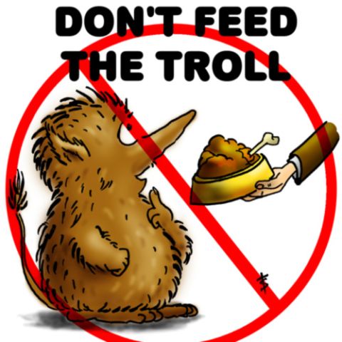 1989 Ford Probe - This image depicts a cartoon kiwi bird and a bowl of food, with a red prohibition sign over it and text that reads 'DON'T FEED THE TROLL'.